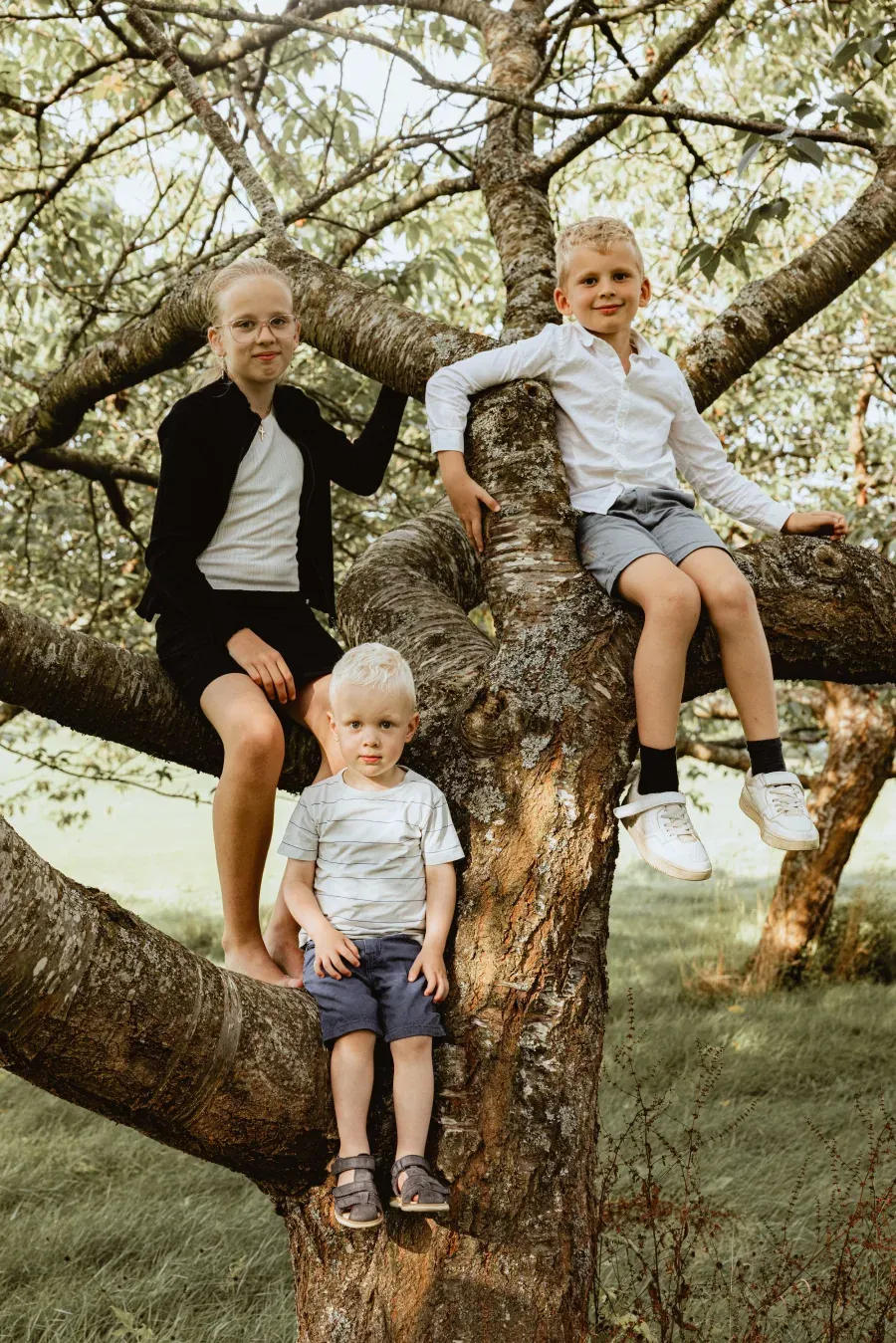 Søskende fotograferet i træet